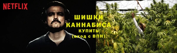 спайс Костерёво