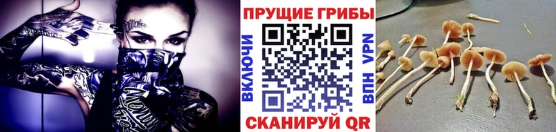 hydra ССЫЛКА  Костерёво  Псилоцибиновые грибы Psilocybe  как найти наркотики 